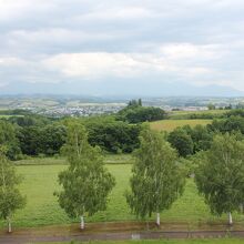 展望台からの眺望