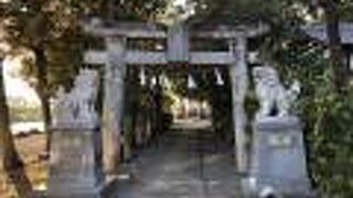 水辺の景色がきれいでした