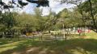 ブランコなどの遊具が御苑内にありました