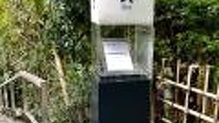 フレンチを愉しくいただく