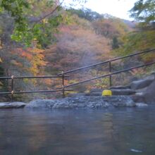 露天風呂から眺める前川の黄葉、紅葉