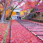 散紅葉の名所です