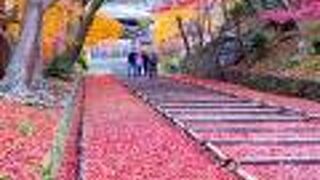 散紅葉の名所です