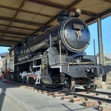 SL公園内に保存・展示されている9625機関車。