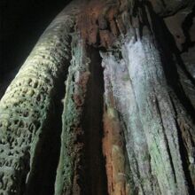 ちょっと角度をずらして見上げてもまた凄さが実感できます！