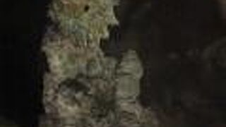 ディティールがなかなか精巧に感じられる作品です