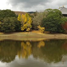 大仏殿と色づく木々が水面を飾る