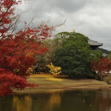 湖畔は散策道だ