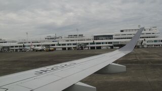 南西諸島からの帰りにお土産を買う