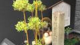 天誅組の中心人物