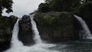 静岡県指定天然記念物