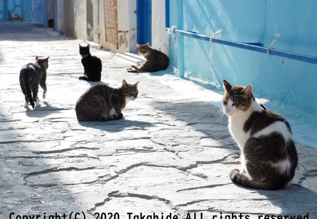 道もモスクもスモールサイズ