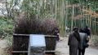 百人一首の歌碑があります