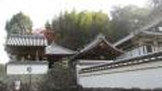 お庭の写真は撮れません。