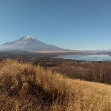 2021.1.20です。