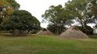 国の史跡に指定される兵庫を代表する弥生集落。