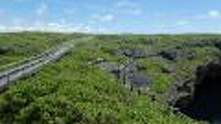 昔はもっと接近できたみたい