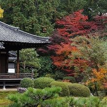 庭園と書院のバラエティが楽しい