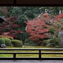 書院の廊下から庭園を眺める
