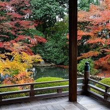 紅葉と緑のコントラストも美しい