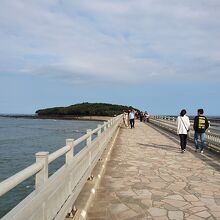 島を渡って青島に向かいます。