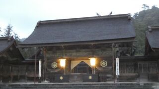 早朝がおすすめ