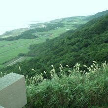 展望台からの眺望