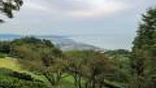 想像以上に石垣や郭がしっかり