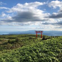 箱根元宮の鳥居