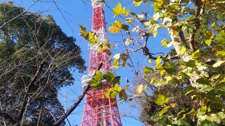 東京タワーのお膝元