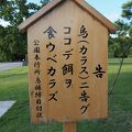 街中のよい公園です