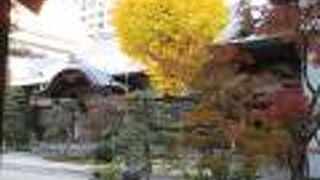 一般には開放していない様です。