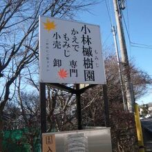 幹線道路の西側にある小林もみじ園の案内です。目につく標識です