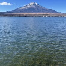 この時期、透明度が高いです。