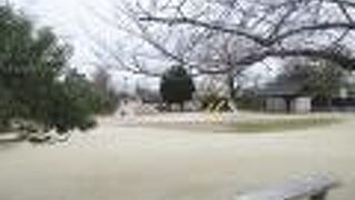 広いのでボール遊びが出来そうです。