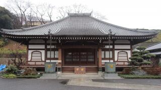 養源寺はアジサイの名所としても知られている、日蓮宗の寺院で池上本門寺の子院です。