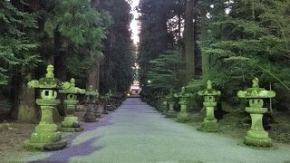 参道、鳥居、社殿、境内、全てが神々しい。