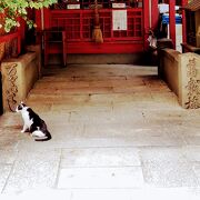 網敷天神社の境内にあります。