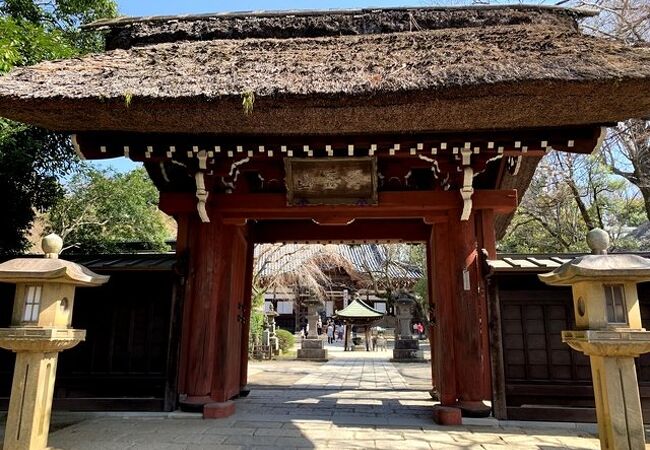 調布 狛江のおすすめ観光スポット クチコミ人気ランキングtop フォートラベル 東京 調布 狛江のおすすめ観光スポット クチコミ人気ランキングtop フォートラベル 東京