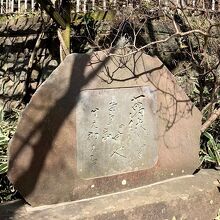 万緑の中や吾子の歯生え初むる（草田男）