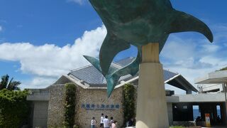 沖縄美ら海水族館 、ジンベイザメが圧巻！大人も楽しめる水族館。