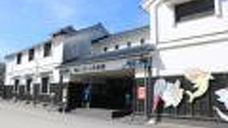 マンボウとハリセンボン