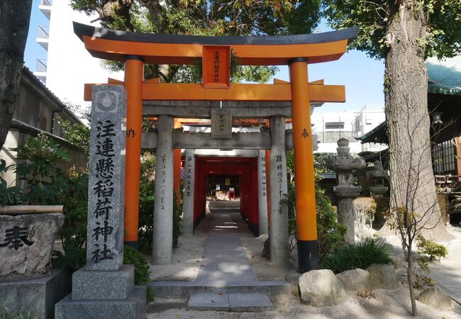 櫛田神社 夫婦恵比寿神社 クチコミ アクセス 営業時間 博多 フォートラベル 櫛田神社 夫婦恵比寿神社 クチコミ アクセス 営業時間 博多 フォートラベル