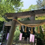 埼玉発祥の地の猫神社
