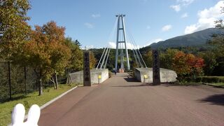 素晴らしい絶景を多くの観光客に見て欲しいと地元の方の願いを込めて造られた吊橋