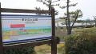海に面した公園