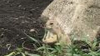 ちょっと密でした。