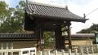 大きくて立派です。