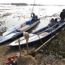 2名乗りの小舟。こっちのほうが花の近くに寄れるが安定性悪い