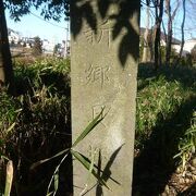 新郷貝塚は、川口の若宮公園内にある埼玉県内最大の貝塚であり、縄文時代の生活の遺跡です。